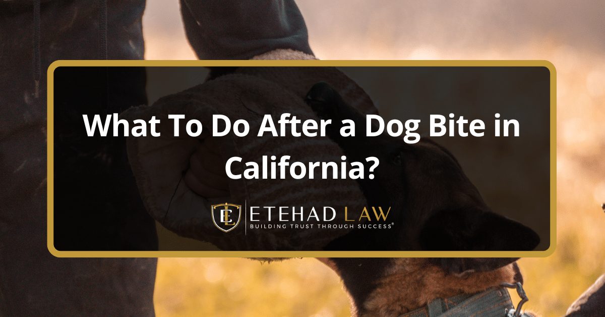 What To Do After a Dog Bite in California?