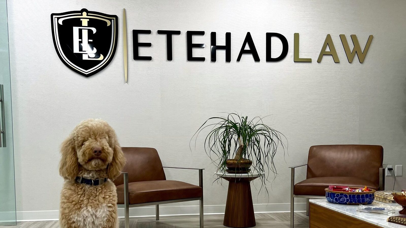Spot the golden doodle sitting beneath the Etehad Law sign in the firm's reception