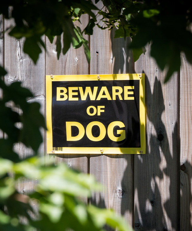 Mordeduras de perro - Etehad Law